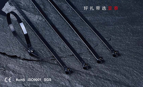 不锈钢嵌片尼龙扎带（船用）